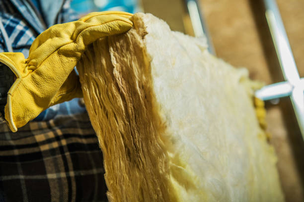 Best Insulation Maintenance and Repair in Maury, NC