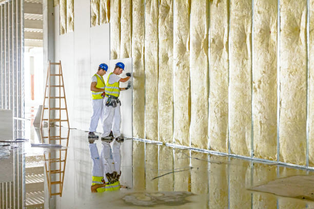 Best Residential Insulation in Maury, NC